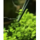 Aquaplante Pince Fine Courbe 30cm - pince aquascaping