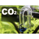 Aquaplante Drop Checker Suspendu en verre - Analyse du taux de CO2 en aquarium