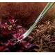 Aquaplante Ciseaux Vague 20cm - Ciseaux aquascaping