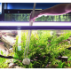 Aquaplante Pince Droite 60cm - pince aquascaping