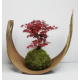 Boule Terre Spéciale Kokedama L - Kokedama