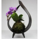 Boule Terre Spéciale Kokedama L - Kokedama