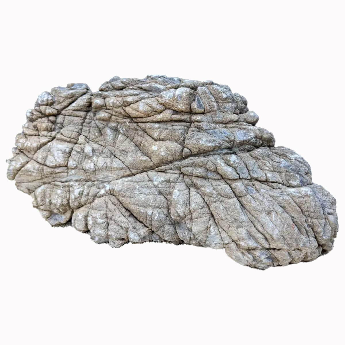 Roche décorative aquascaping aquarium