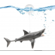 Aquaplante Requin flottant - Décoration flottante