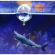 Aquaplante Requin flottant - Décoration flottante
