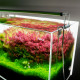 Chihiros Eclairage LED B20