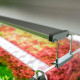 Chihiros Eclairage LED B20