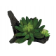 REPTO Plant Succulente sur Deco - Plante artificielle