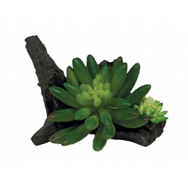 REPTO Plant Succulente sur Deco - Plante artificielle