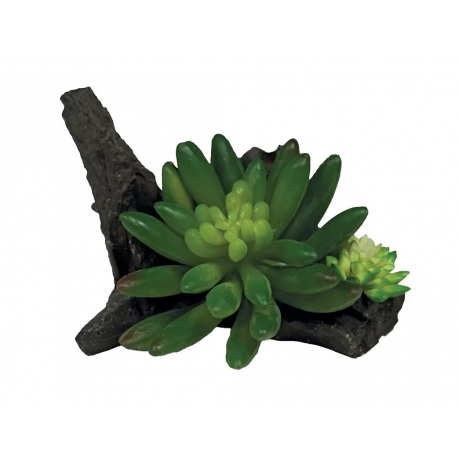 REPTO Plant Succulente sur Deco - Plante artificielle