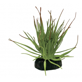 REPTO Plante Tillandsia Ion - Plante artificielle Terrarium
