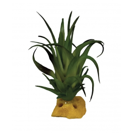 REPTO Plante Tillandsia - Plante artificielle Terrarium