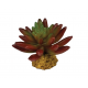REPTO Plante Succulente Red - Plante artificielle Terrarium