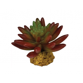 REPTO Plante Succulente Red - Plante artificielle Terrarium