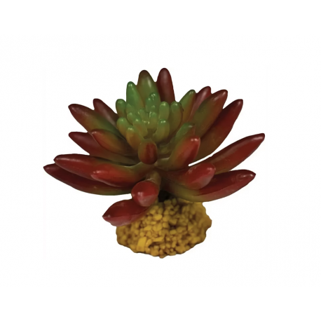 REPTO Plante Succulente Red - Plante artificielle Terrarium