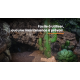 REPTO Plante Cactus Palm - Plante artificielle Terrarium