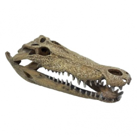 REPTO Deco Crocodile XXL - Décoration reptiles