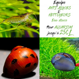 Pack Nettoyeurs Anti-Algues pour aquarium jusqu'à 250L