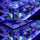 Red Sea Reefer™ 250 G3 blanc (Aquarium + meuble)