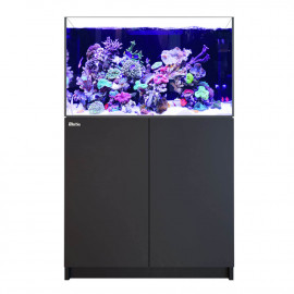 Red Sea Reefer™ 300 G3 noir (Aquarium + meuble)
