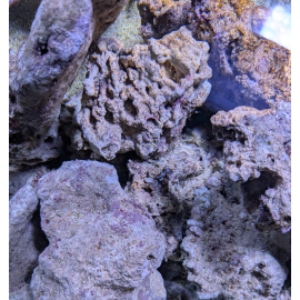 Aquaforest AF Synthétic Rock Le Kg