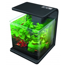 Superfish Wave 15