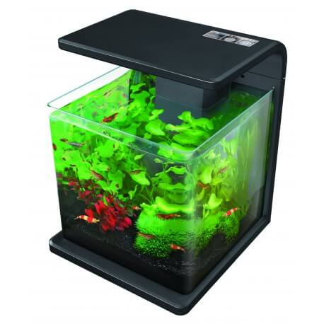 Superfish Wave 15