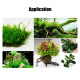 Aquaplante fil de fixation Vert - Fil pour fixation des plantes