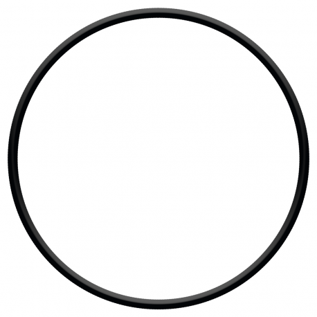 Joint torique Sera Pond chambre pompe PP 3000 6000 9000 piece etancheite circulaire bassin