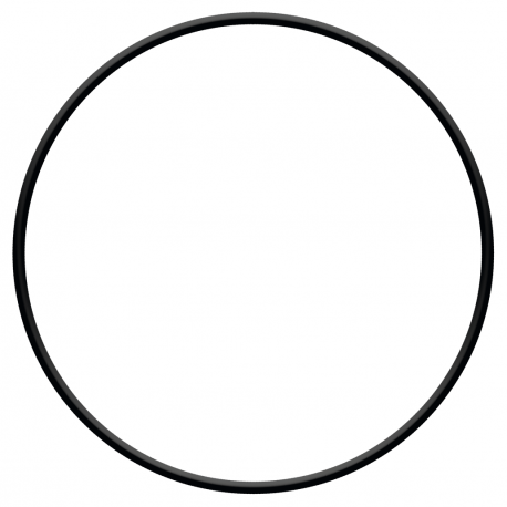 Joint torique etancheite Sera Pond pour bloc-moteur pompe PP 12000