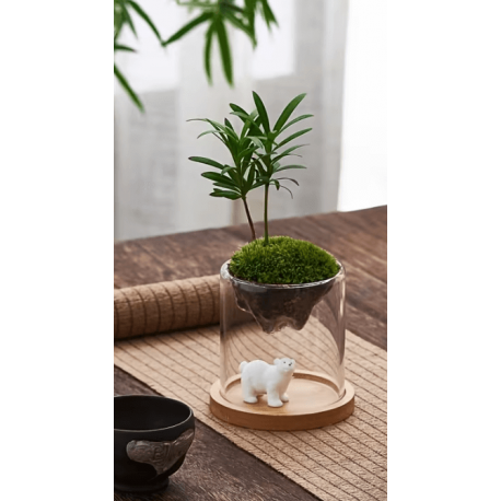 Aquaplante support de plante décoratif - Support