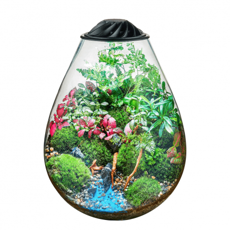Chihiros ECO Ping -  Nano-terrarium pour plantes