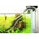 VIV Orchid Outflow (sortie) 13mm - 82mm - Accessoire filtration