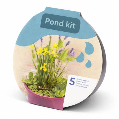 Kit Mini-Bassin Terrasse - Coupe 40 cm + 3 Plantes Aquatiques (Iris, Pontederia, Acorus)