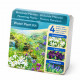 Kit Moerings Plantes Floraison emballage sec 3 plantes aquatiques Anemopsis Iris Pontederia