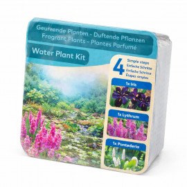 Kit Moerings Plantes Parfumees emballage sec 3 plantes aquatiques Iris Lythrum Pontederia