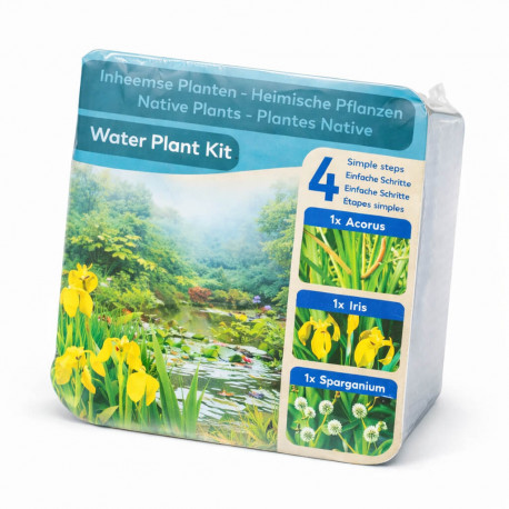 Kit Moerings Plantes Natives emballage sec 3 plantes indigenes Acorus Iris jaune Sparganium