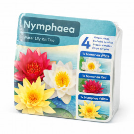 Kit Nymphaea Trio - Nénuphar Plante de Bassin à Fleurs