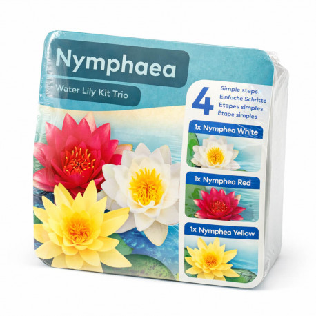 Kit Nymphaea Trio - Nénuphar Plante de Bassin à Fleurs