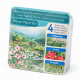 Moerings Kit Plantes Insectes Emballage Sec - 3 Plantes Melliferes (Butomus, Iris, Typha)