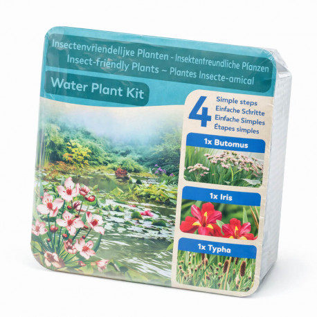 Moerings Kit Plantes Insectes Emballage Sec - 3 Plantes Melliferes (Butomus, Iris, Typha)