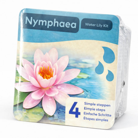 Kit Nymphaea Rose - Nénuphar Plante de bassin Rose