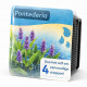 Kit Moerings Pontederia emballage sec pontederie epis bleu lavande feuilles coeur