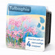 Kit Moerings Tulbaghia emballage sec ail afrique sud fleurs rose lilas etoilees