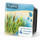Kit Moerings Typha emballage sec massette quenouille epis bruns cylindriques