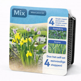 Kit Moerings Mix 3 plantes emballage sec Pontederia Acorus Iris jaune assortiment