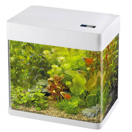 SUPERFISH PANORAMA 20 BLANC