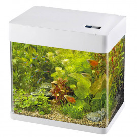 SUPERFISH PANORAMA 50 BLANC