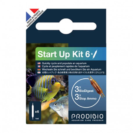 PRODIBIO Start Up 6 Ampoules - Bactéries de démarrage