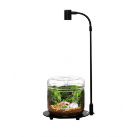 Bioloark Lampe Wabi Kusa DX-03 - Lampe LED pour Wabi-Kusa ou petits terrariums